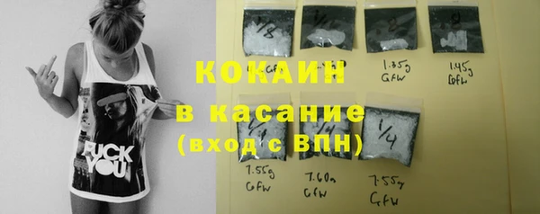 шишки Вязники
