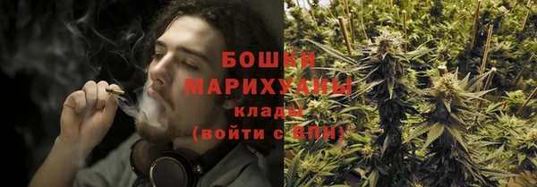 ГАЛЛЮЦИНОГЕННЫЕ ГРИБЫ Горно-Алтайск