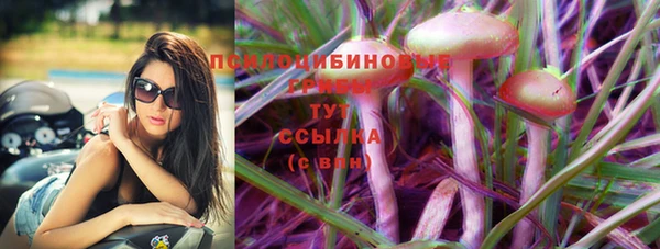 бутират Горняк